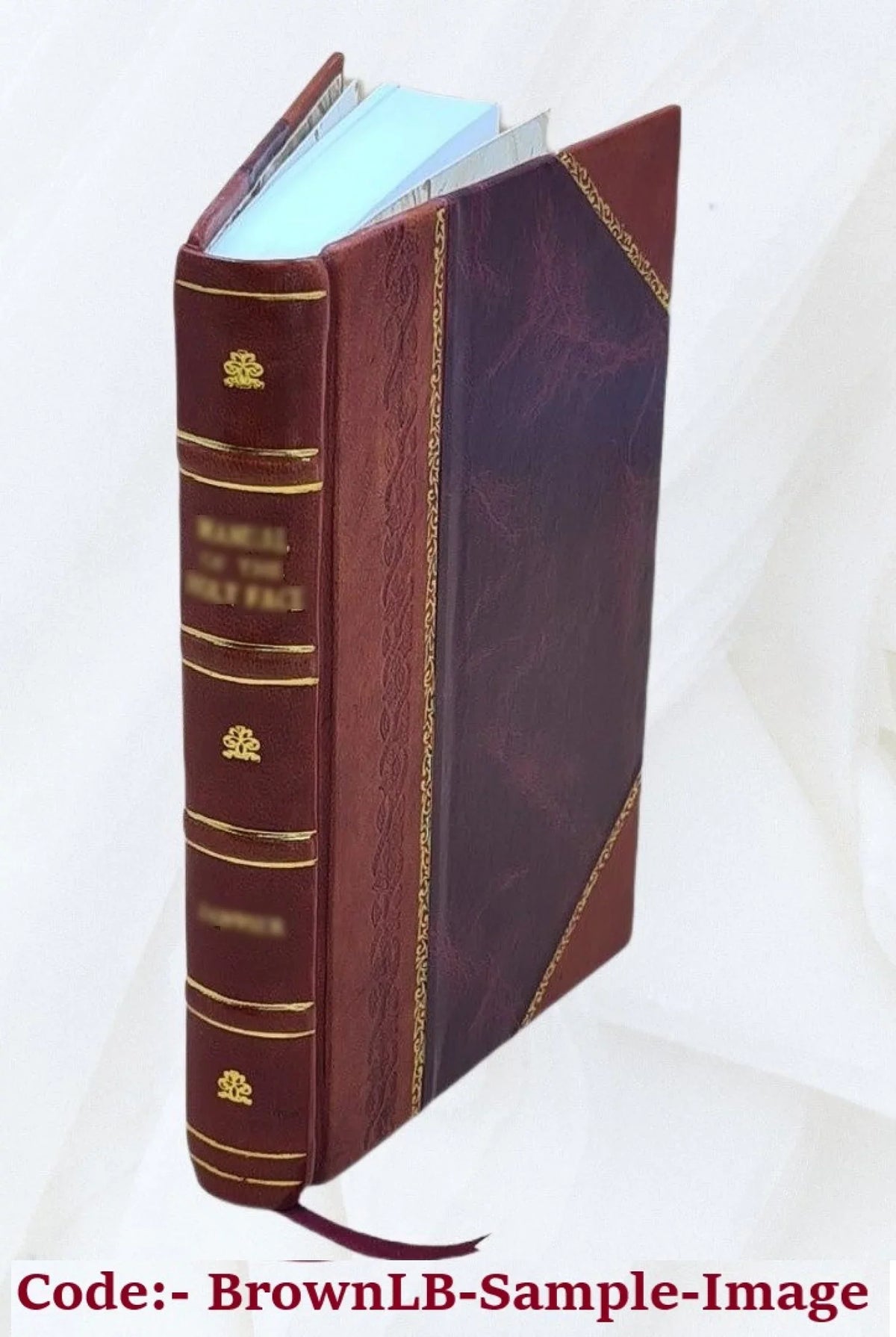 Popular series: botany. Volume c.1 no.11-20 [Leather Bound]