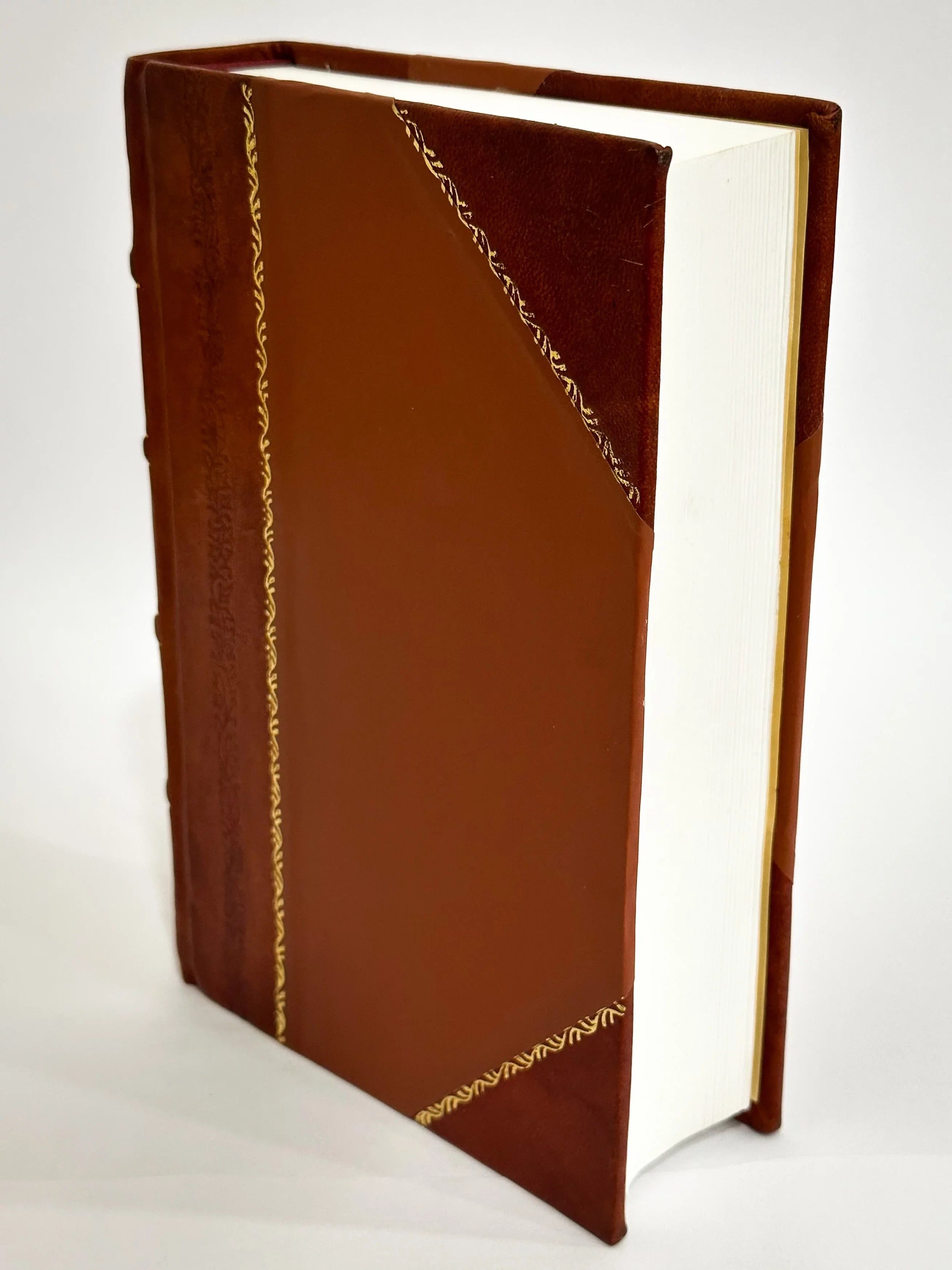 Brachiopoda and Lamellibranchiata of the Raritan Clays and Greensand Marls ... / Robert Parr Whitfield , Geological Survey (U .S.) (1885) (1885) [Leather Bound]