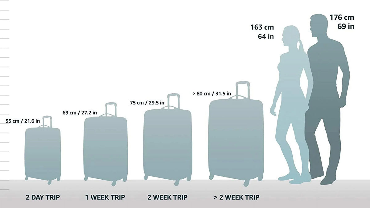 26 Inch Medium Pullman (W Garment Bag)