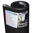 Horizon Quantum Treadmill Running Belt Sand Blast Serial TM363