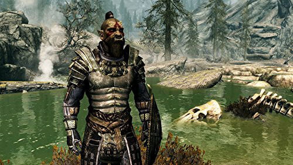 The Elder Scrolls V: Skyrim (Nintendo Switch)