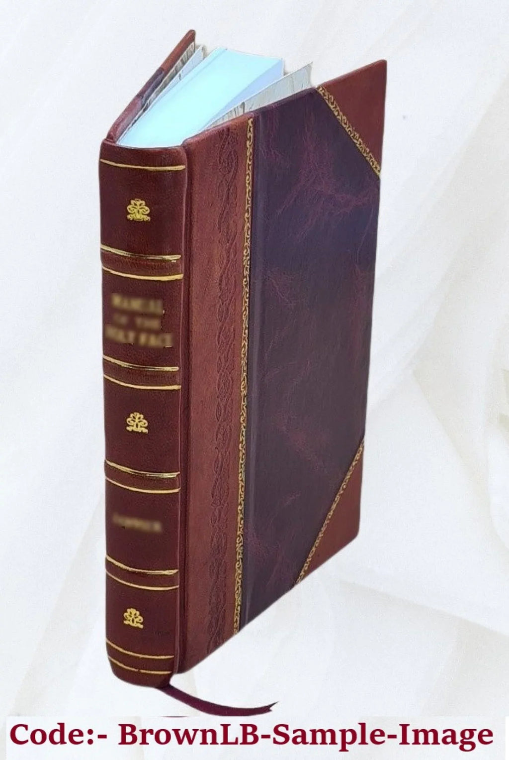 P. Ovidi Nasonis Metamorphoseon libri XV : Lachtanti Placcidi qui dicitur Narrationes fabularum Ovidianarum. Volume V.1 1914 [Leather Bound]
