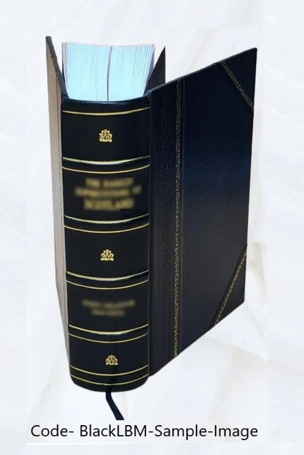 Revue des deux mondes R2M 1870 [Leather Bound]